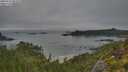 ./images/calvert/foggy-cove/20250723/foggy-cove20250723_063508M.jpg