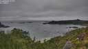 ./images/calvert/foggy-cove/20250723/foggy-cove20250723_081010M.jpg