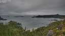 ./images/calvert/foggy-cove/20250723/foggy-cove20250723_082509M.jpg