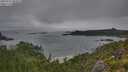 ./images/calvert/foggy-cove/20250723/foggy-cove20250723_083010M.jpg