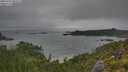 ./images/calvert/foggy-cove/20250723/foggy-cove20250723_083509M.jpg