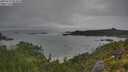 ./images/calvert/foggy-cove/20250723/foggy-cove20250723_084010M.jpg