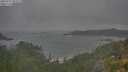 ./images/calvert/foggy-cove/20250723/foggy-cove20250723_091009M.jpg
