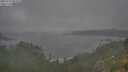 ./images/calvert/foggy-cove/20250723/foggy-cove20250723_092010M.jpg