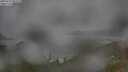 ./images/calvert/foggy-cove/20250723/foggy-cove20250723_093510M.jpg