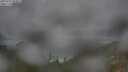 ./images/calvert/foggy-cove/20250723/foggy-cove20250723_094011M.jpg