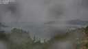 ./images/calvert/foggy-cove/20250723/foggy-cove20250723_094510M.jpg
