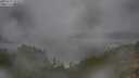 ./images/calvert/foggy-cove/20250723/foggy-cove20250723_095010M.jpg