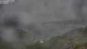 ./images/calvert/foggy-cove/20250723/foggy-cove20250723_100508M.jpg