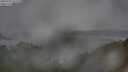 ./images/calvert/foggy-cove/20250723/foggy-cove20250723_101510M.jpg