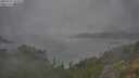 ./images/calvert/foggy-cove/20250723/foggy-cove20250723_102010M.jpg