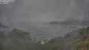 ./images/calvert/foggy-cove/20250723/foggy-cove20250723_102508M.jpg