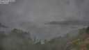 ./images/calvert/foggy-cove/20250723/foggy-cove20250723_103011M.jpg