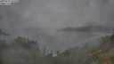./images/calvert/foggy-cove/20250723/foggy-cove20250723_103509M.jpg
