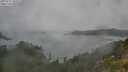 ./images/calvert/foggy-cove/20250723/foggy-cove20250723_105011M.jpg
