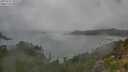 ./images/calvert/foggy-cove/20250723/foggy-cove20250723_105509M.jpg