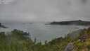 ./images/calvert/foggy-cove/20250723/foggy-cove20250723_111510M.jpg