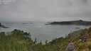 ./images/calvert/foggy-cove/20250723/foggy-cove20250723_112508M.jpg