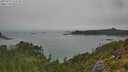 ./images/calvert/foggy-cove/20250723/foggy-cove20250723_113510M.jpg