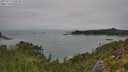 ./images/calvert/foggy-cove/20250723/foggy-cove20250723_120510M.jpg