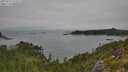 ./images/calvert/foggy-cove/20250723/foggy-cove20250723_121511M.jpg