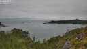 ./images/calvert/foggy-cove/20250723/foggy-cove20250723_123010M.jpg