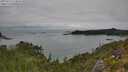 ./images/calvert/foggy-cove/20250723/foggy-cove20250723_124010M.jpg