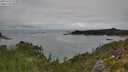 ./images/calvert/foggy-cove/20250723/foggy-cove20250723_125008M.jpg