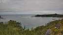 ./images/calvert/foggy-cove/20250723/foggy-cove20250723_131510M.jpg