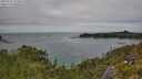 ./images/calvert/foggy-cove/20250723/foggy-cove20250723_133011M.jpg