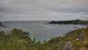 ./images/calvert/foggy-cove/20250723/foggy-cove20250723_135010M.jpg
