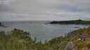 ./images/calvert/foggy-cove/20250723/foggy-cove20250723_135508M.jpg