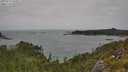 ./images/calvert/foggy-cove/20250723/foggy-cove20250723_144510M.jpg