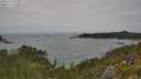 ./images/calvert/foggy-cove/20250723/foggy-cove20250723_150011M.jpg