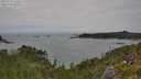 ./images/calvert/foggy-cove/20250723/foggy-cove20250723_150509M.jpg