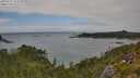 ./images/calvert/foggy-cove/20250723/foggy-cove20250723_153510M.jpg