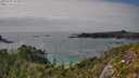 ./images/calvert/foggy-cove/20250723/foggy-cove20250723_162010M.jpg