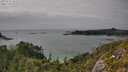 ./images/calvert/foggy-cove/20250723/foggy-cove20250723_162509M.jpg