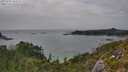 ./images/calvert/foggy-cove/20250723/foggy-cove20250723_163509M.jpg