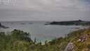 ./images/calvert/foggy-cove/20250723/foggy-cove20250723_164010M.jpg