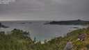 ./images/calvert/foggy-cove/20250723/foggy-cove20250723_174511M.jpg