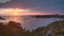 ./images/calvert/foggy-cove/20250723/foggy-cove20250723_212509M.jpg