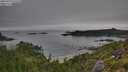 ./images/calvert/foggy-cove/20250724/foggy-cove20250724_071510M.jpg