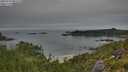 ./images/calvert/foggy-cove/20250724/foggy-cove20250724_082509M.jpg