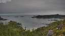 ./images/calvert/foggy-cove/20250724/foggy-cove20250724_084510M.jpg