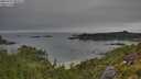 ./images/calvert/foggy-cove/20250724/foggy-cove20250724_085010M.jpg
