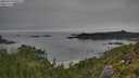 ./images/calvert/foggy-cove/20250724/foggy-cove20250724_090508M.jpg