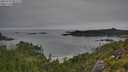 ./images/calvert/foggy-cove/20250724/foggy-cove20250724_091009M.jpg