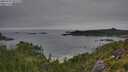 ./images/calvert/foggy-cove/20250724/foggy-cove20250724_091510M.jpg