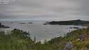 ./images/calvert/foggy-cove/20250724/foggy-cove20250724_093506M.jpg